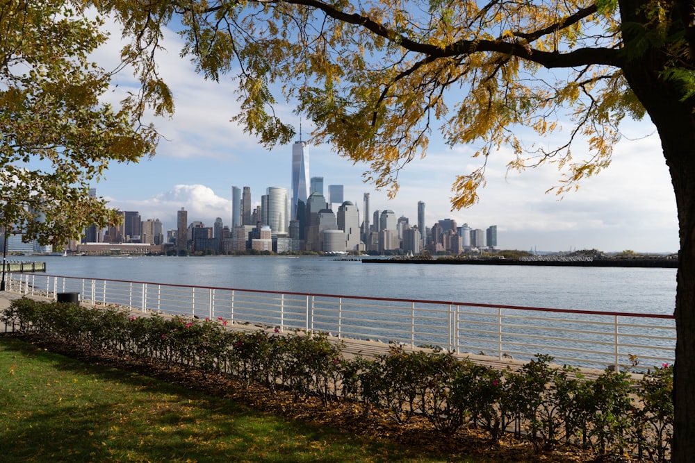 city skyline across body of water during daytime