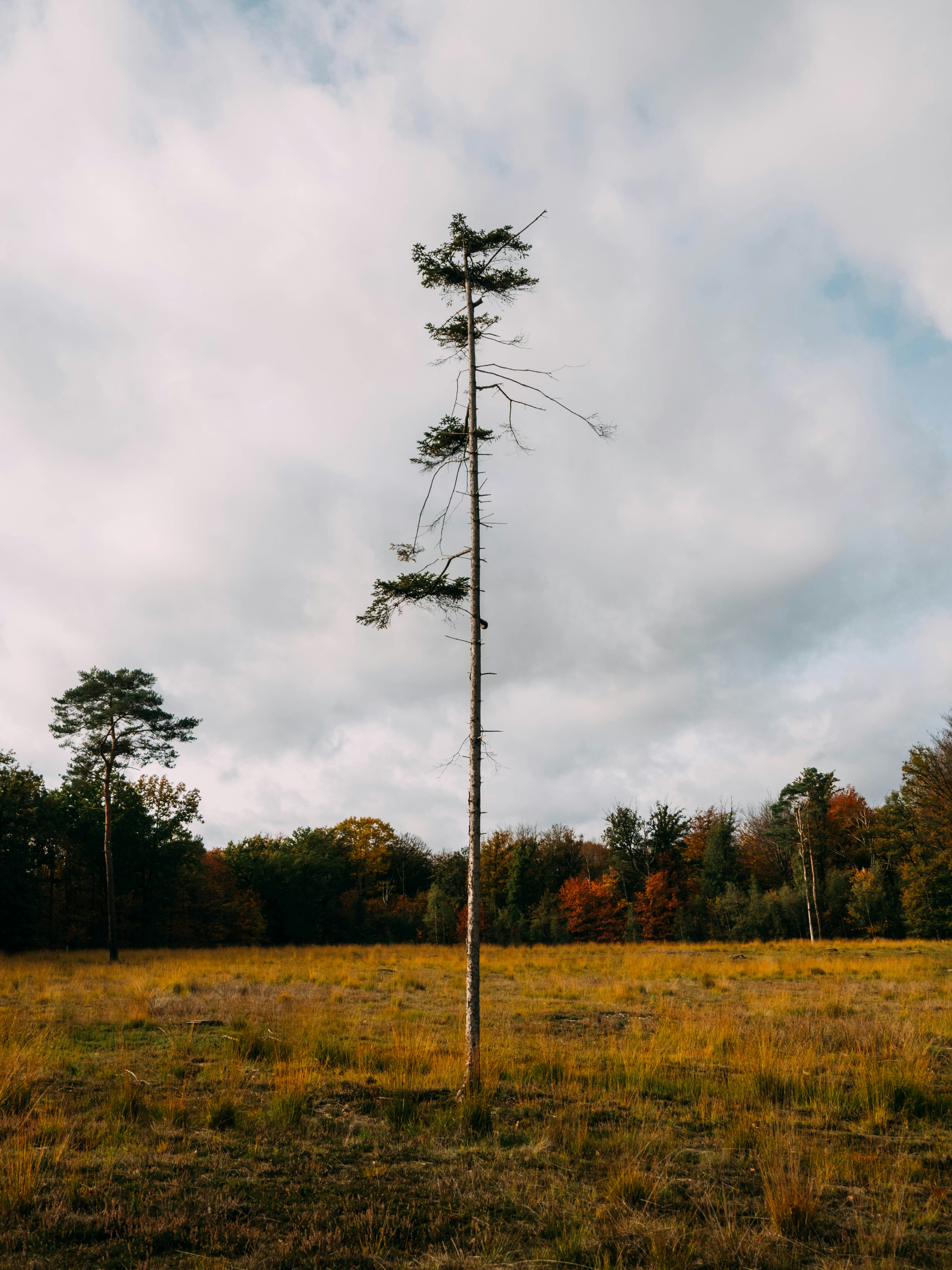 Photo by brechtdenil