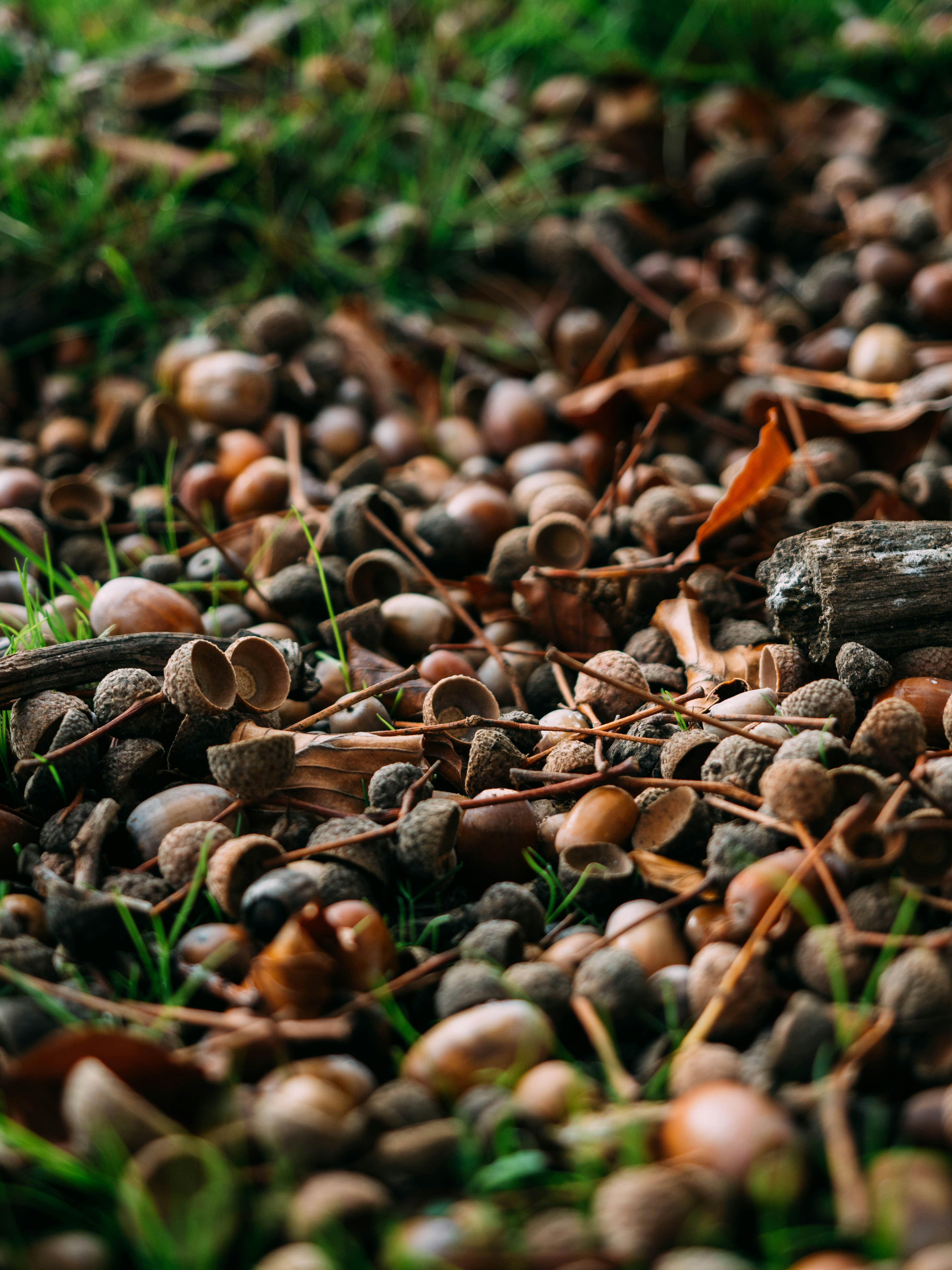 Photo by brechtdenil