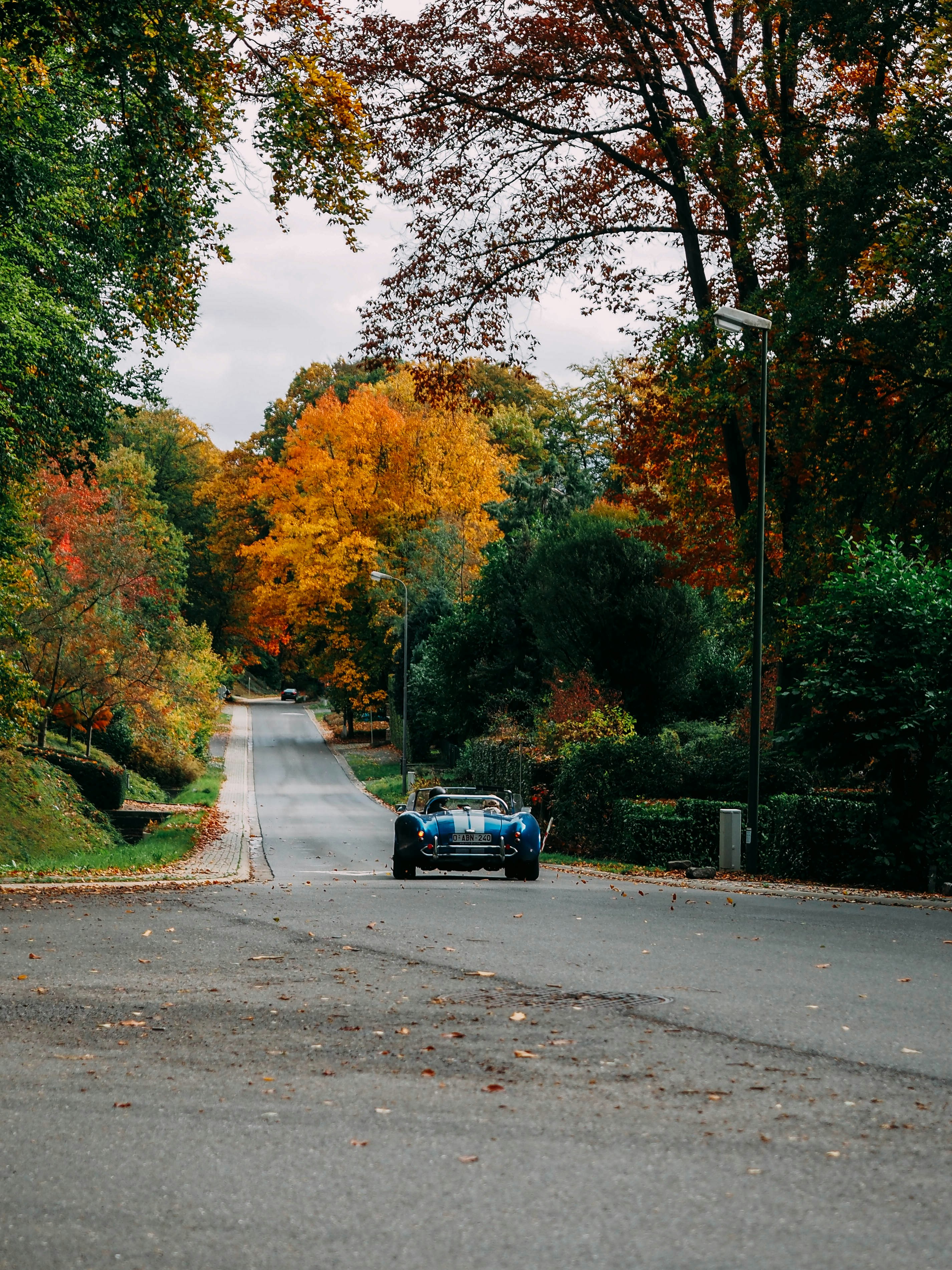 Photo by brechtdenil