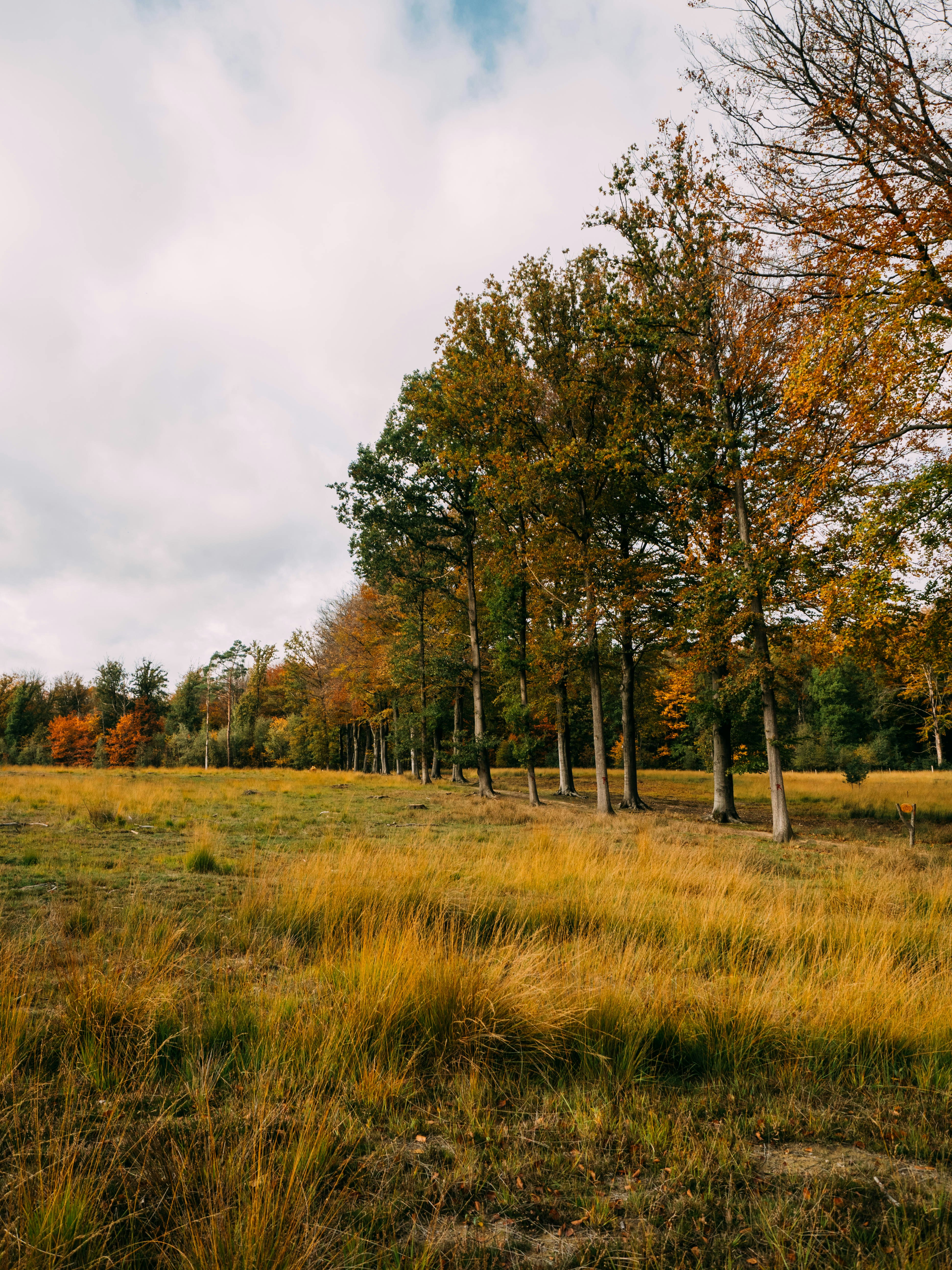 Photo by brechtdenil