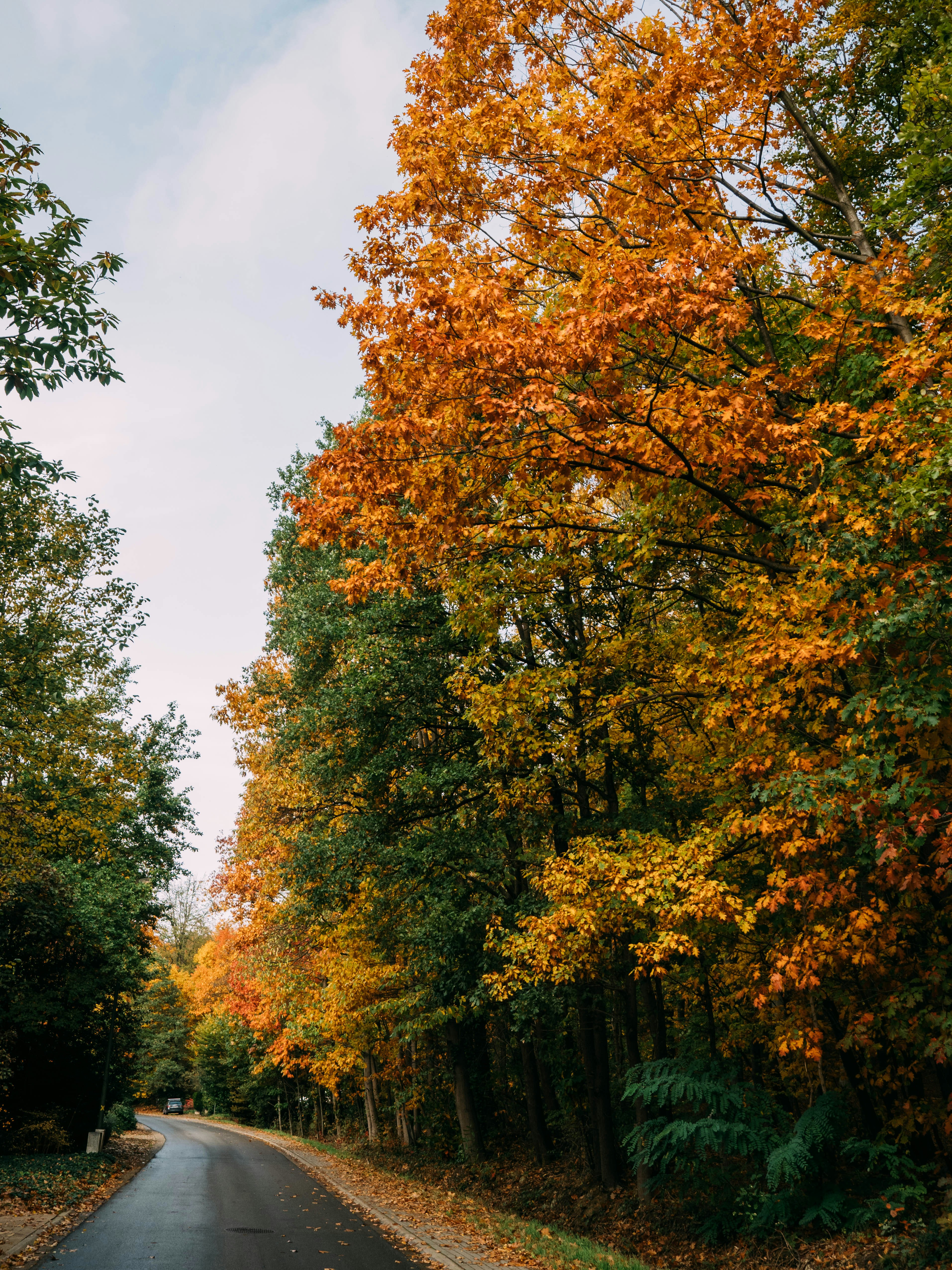 Photo by brechtdenil