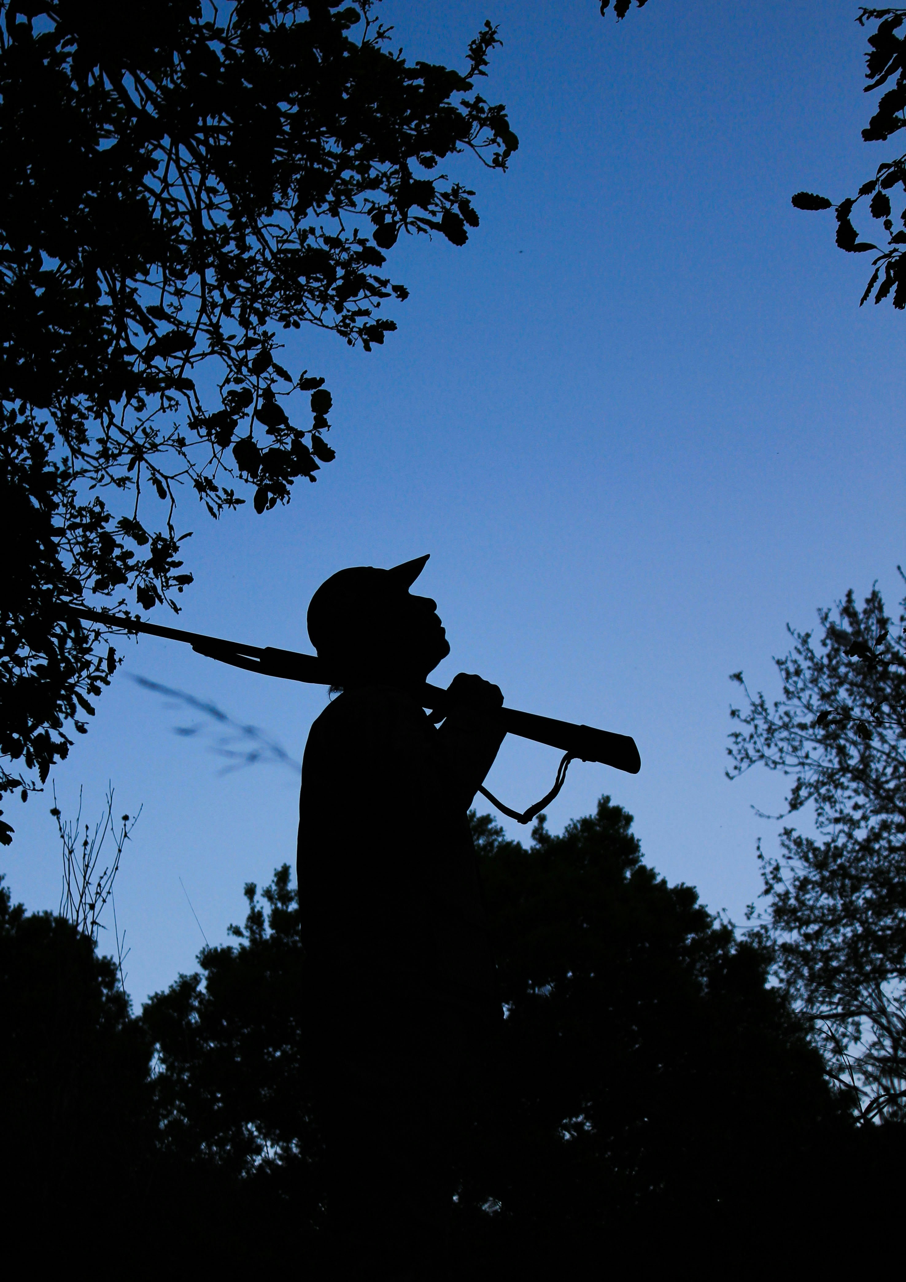 Precision Hunting Scope