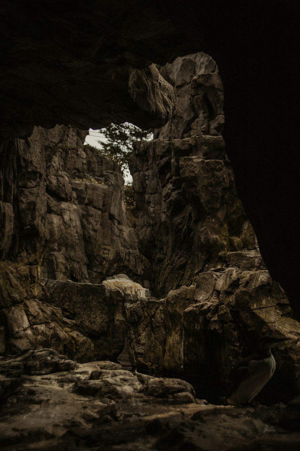 brown rock formation during daytime