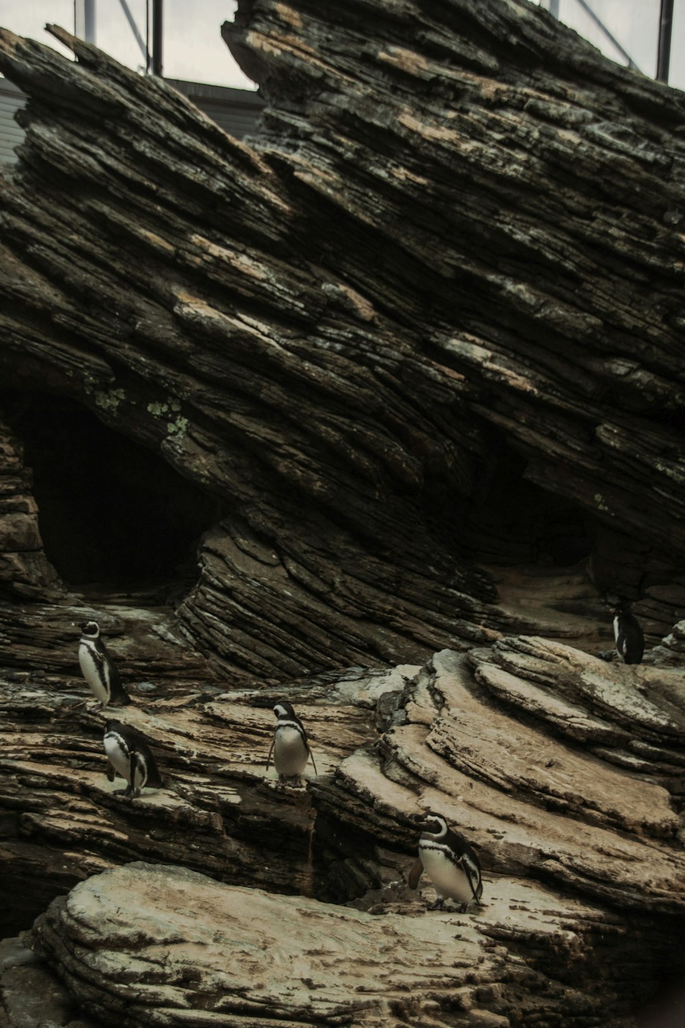 person in black pants standing on brown rock formation during daytime