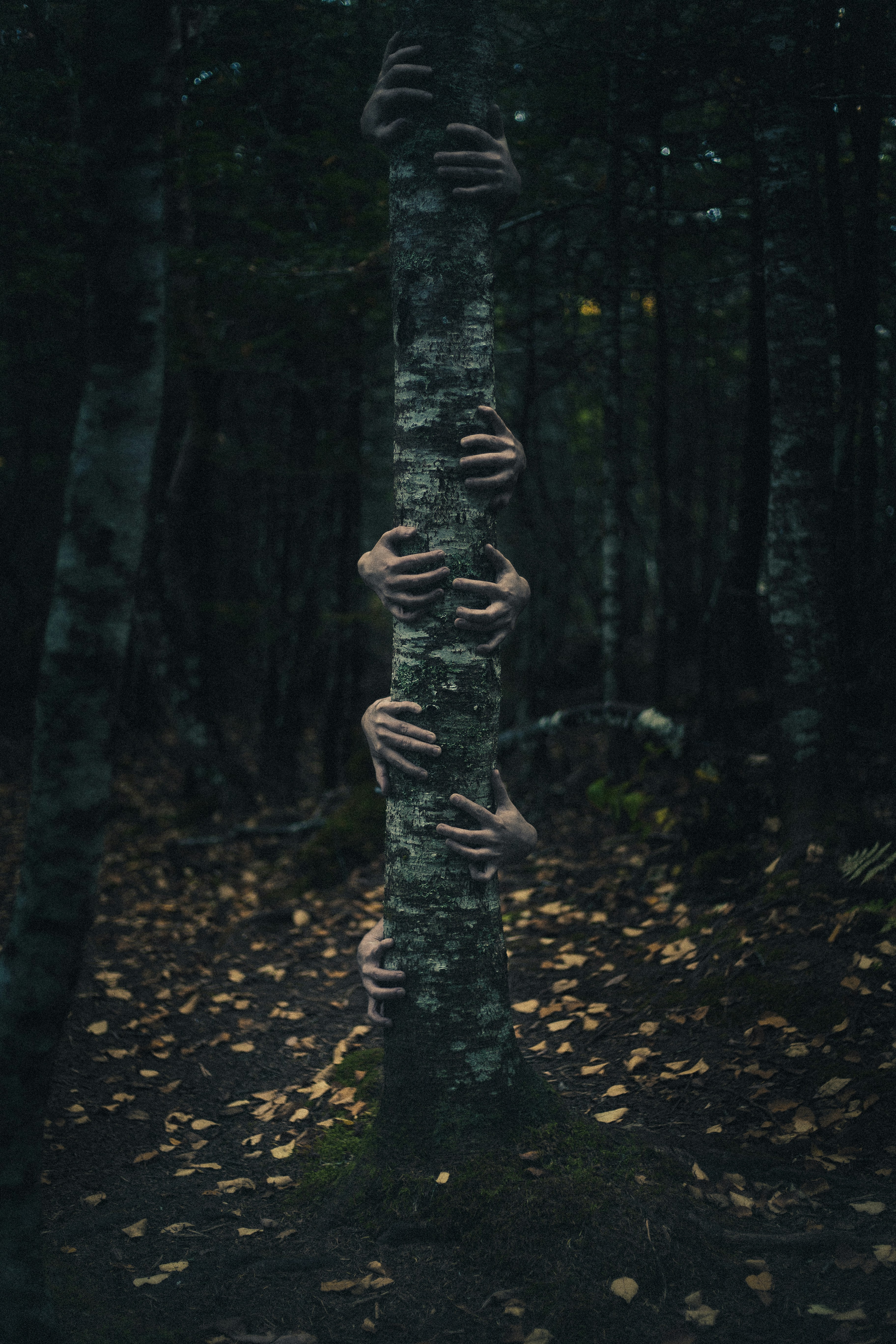 Photo by introspectivedsgn