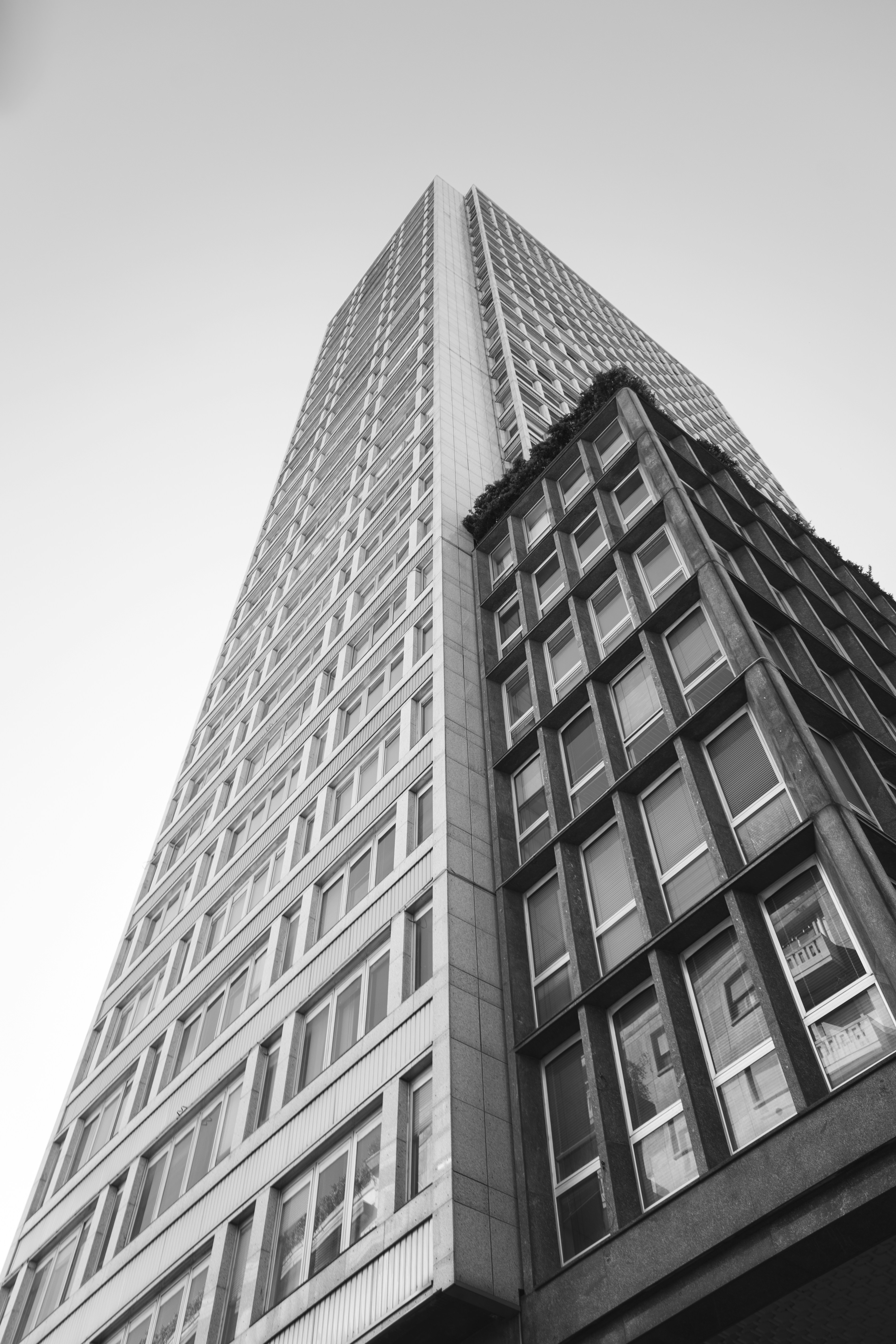 Photo by giordanorossoni