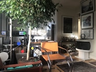 A cozy living space features a large indoor plant next to modern furniture, including an orange chair and glass-topped tables. Bookshelves and a well-stocked bar area are visible along with framed artwork on the walls. The room has a wooden floor partially covered with rugs, and there is ambient natural light entering from a window.