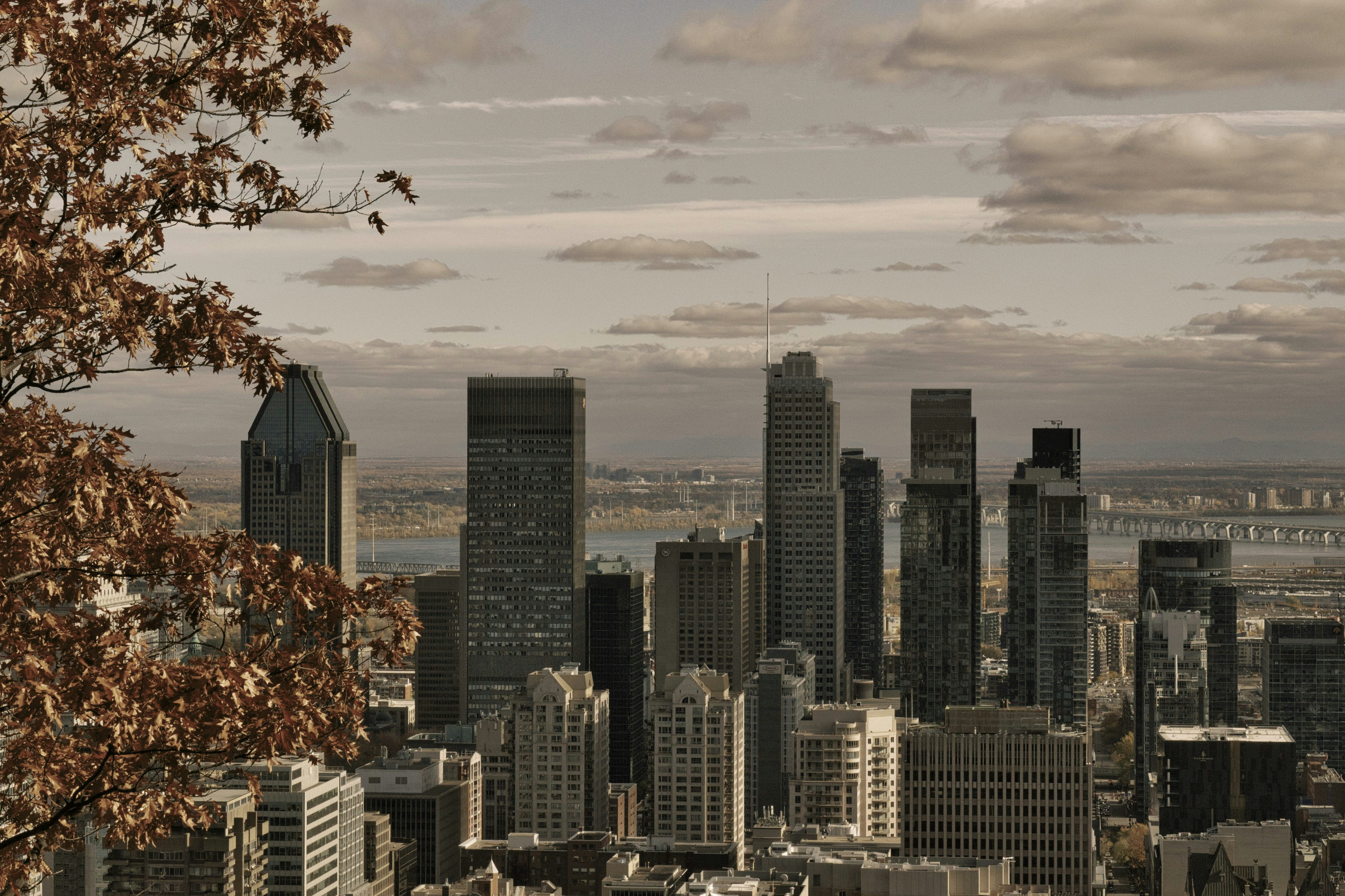 city buildings under cloudy sky during daytime