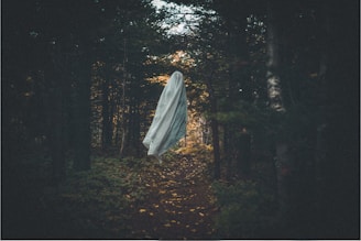 A ghostly figure draped in a white sheet hovers along a narrow forest path surrounded by dense, dark trees. The atmosphere is eerie, with minimal light filtering through the foliage.