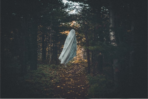A ghostly figure draped in a white sheet hovers along a narrow forest path surrounded by dense, dark trees. The atmosphere is eerie, with minimal light filtering through the foliage.