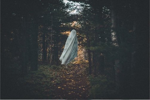 A ghostly figure draped in a white sheet hovers along a narrow forest path surrounded by dense, dark trees. The atmosphere is eerie, with minimal light filtering through the foliage.