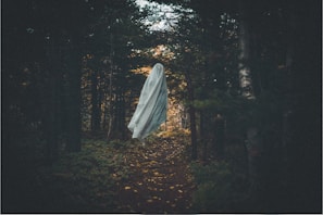 A ghostly figure draped in a white sheet hovers along a narrow forest path surrounded by dense, dark trees. The atmosphere is eerie, with minimal light filtering through the foliage.