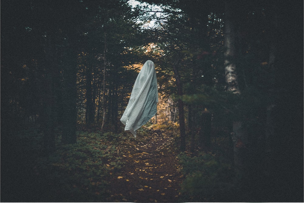 white textile on forest during daytime