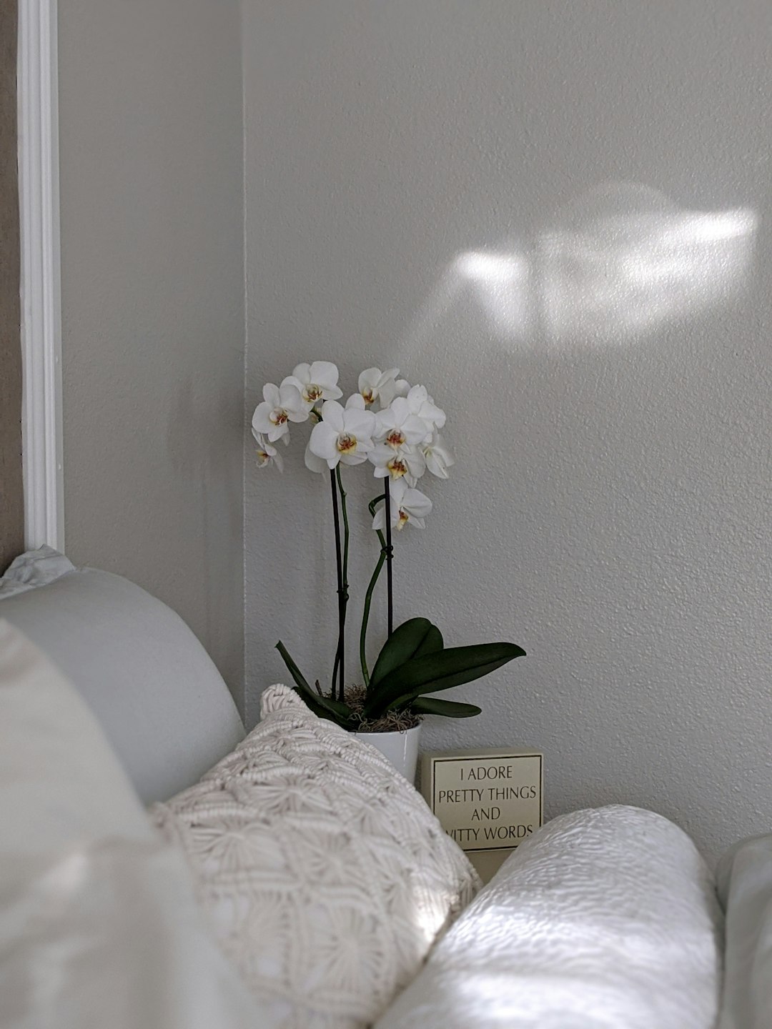 white flowers on black vase