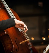 person playing brown violin during daytime