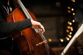 person playing brown violin during daytime