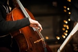 person playing brown violin during daytime