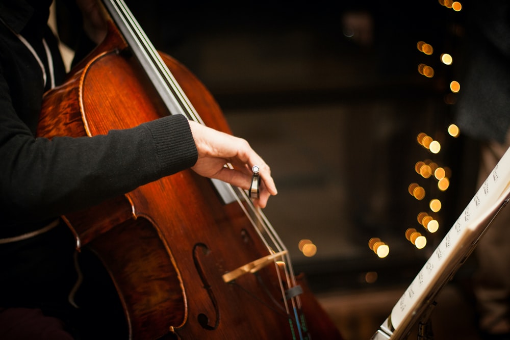 Persona che suona il violino marrone durante il giorno