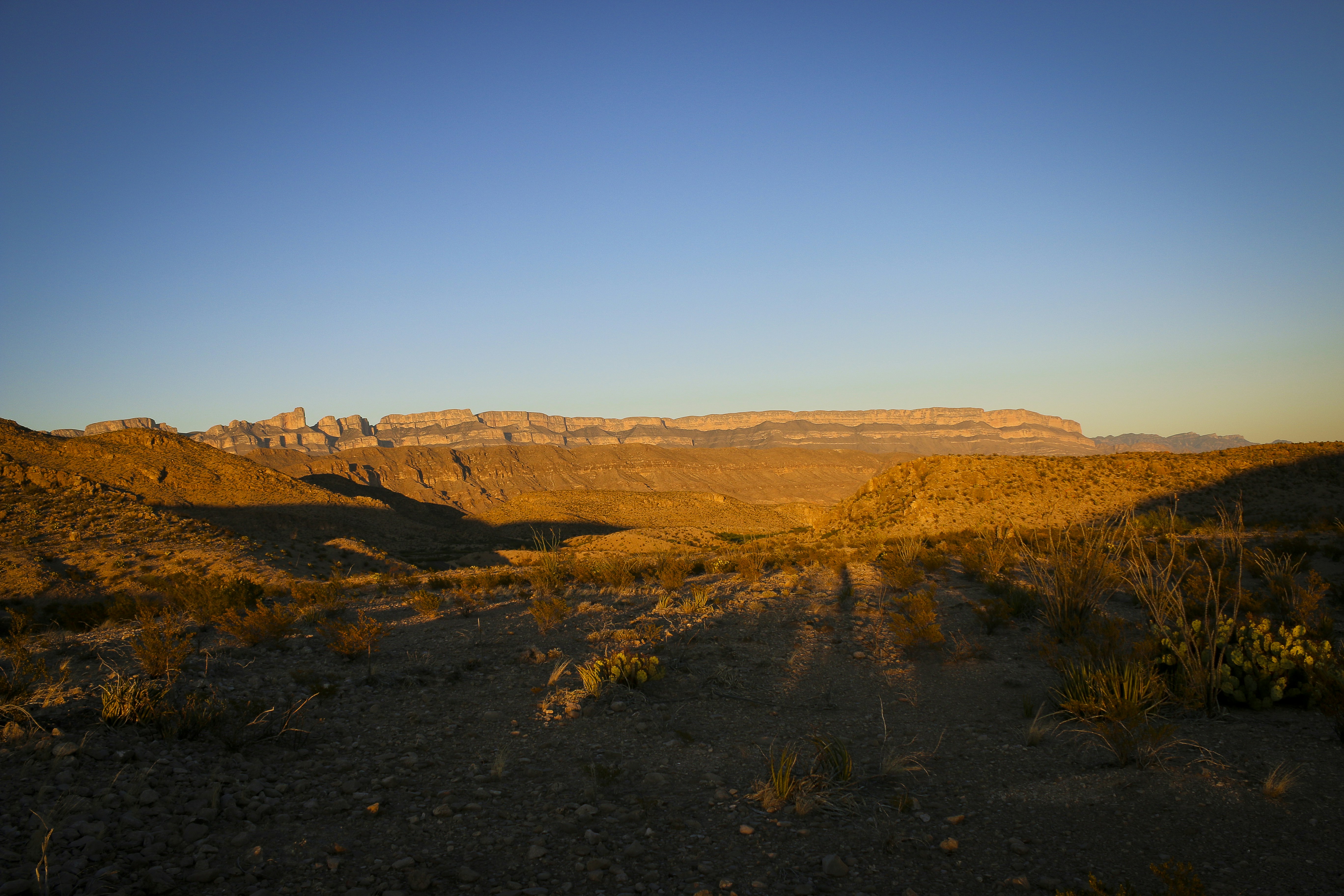 Photo by alaskablue2