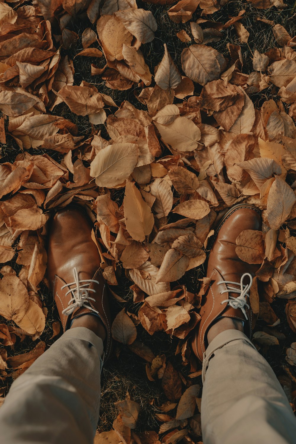 person wearing brown leather shoes standing on dried leaves