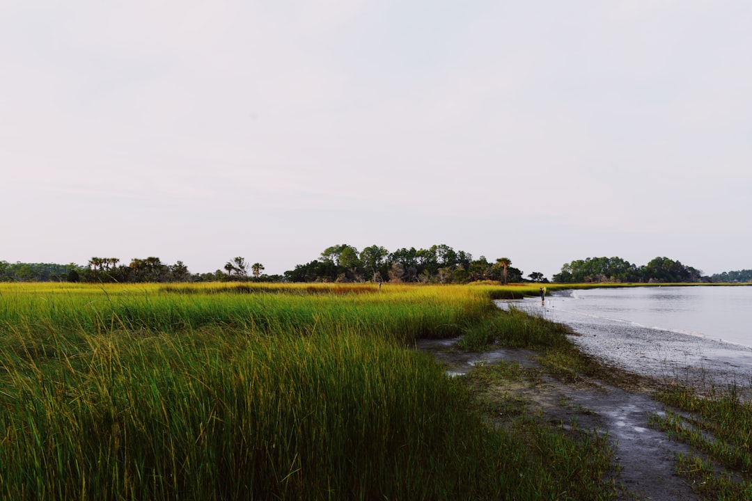 green grass field beside river under white sky during daytime