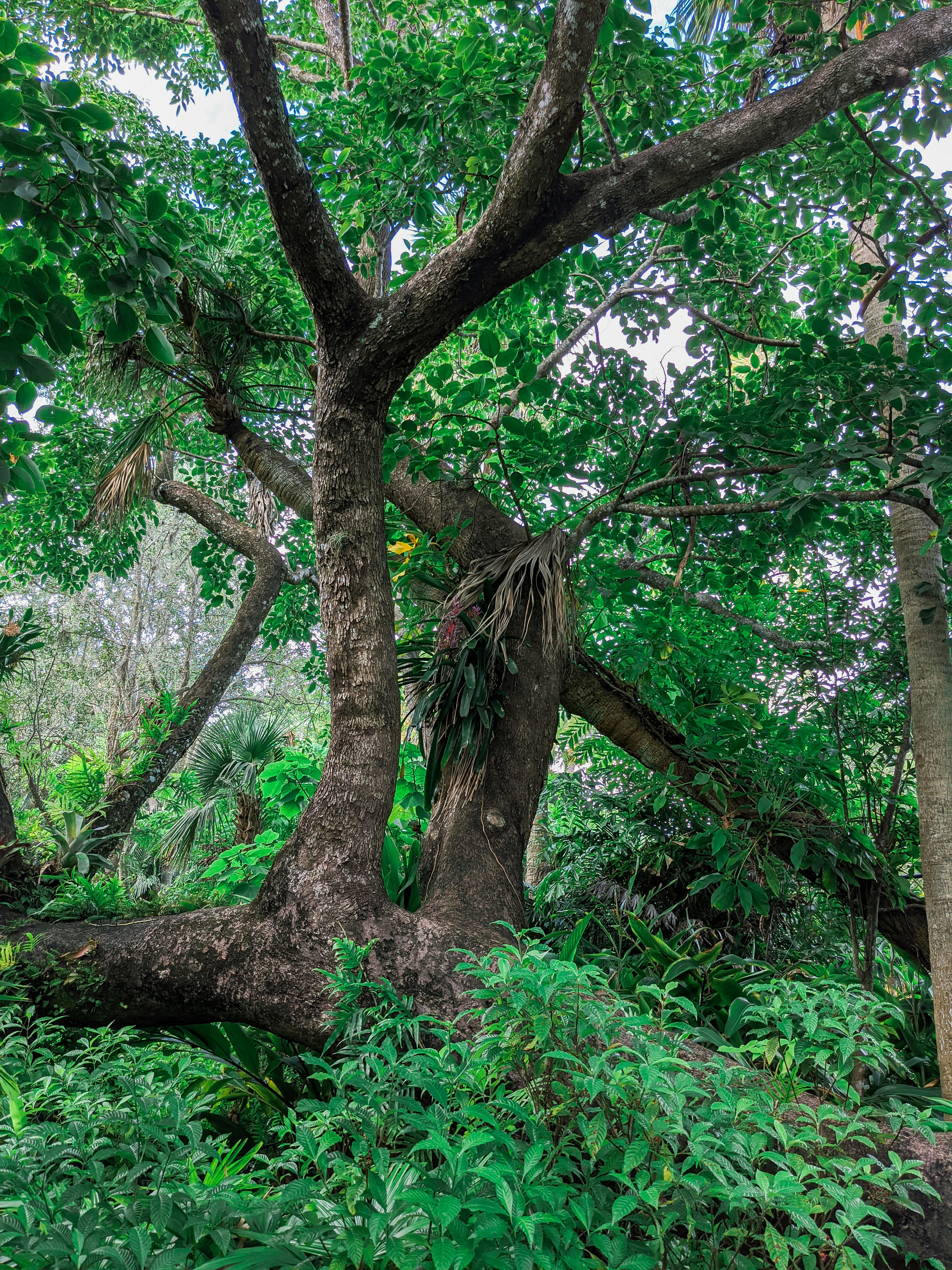 Photo by ohaikatherine