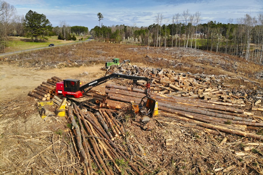 Arb, Forestry & Sawmills