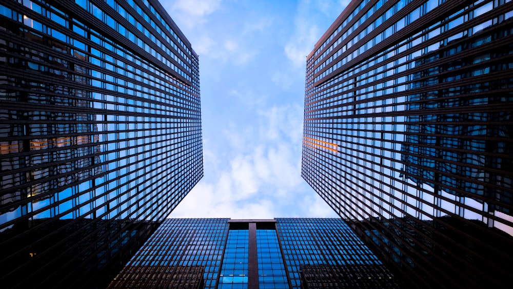 low angle photography of high rise buildings under blue sky during daytime