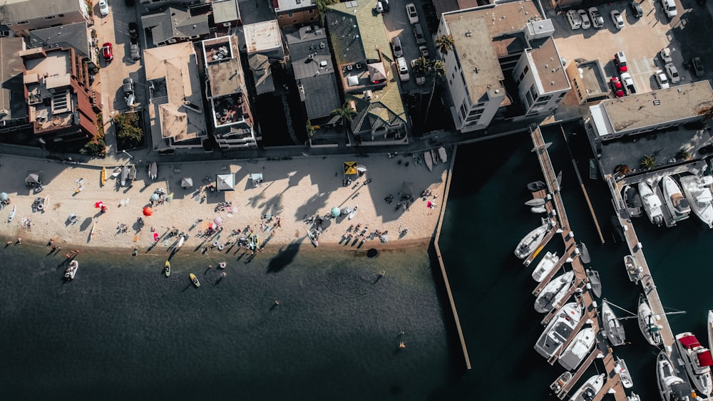 aerial view of people on beach during daytime