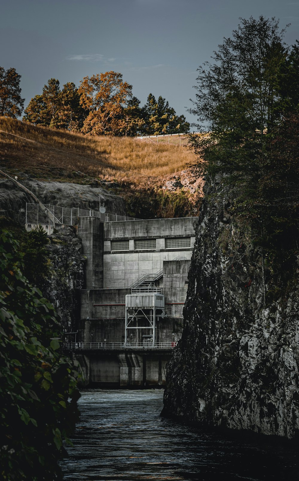 white and gray concrete building near brown trees during daytime