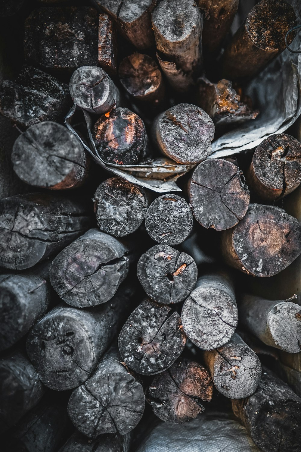 brown and black wood logs