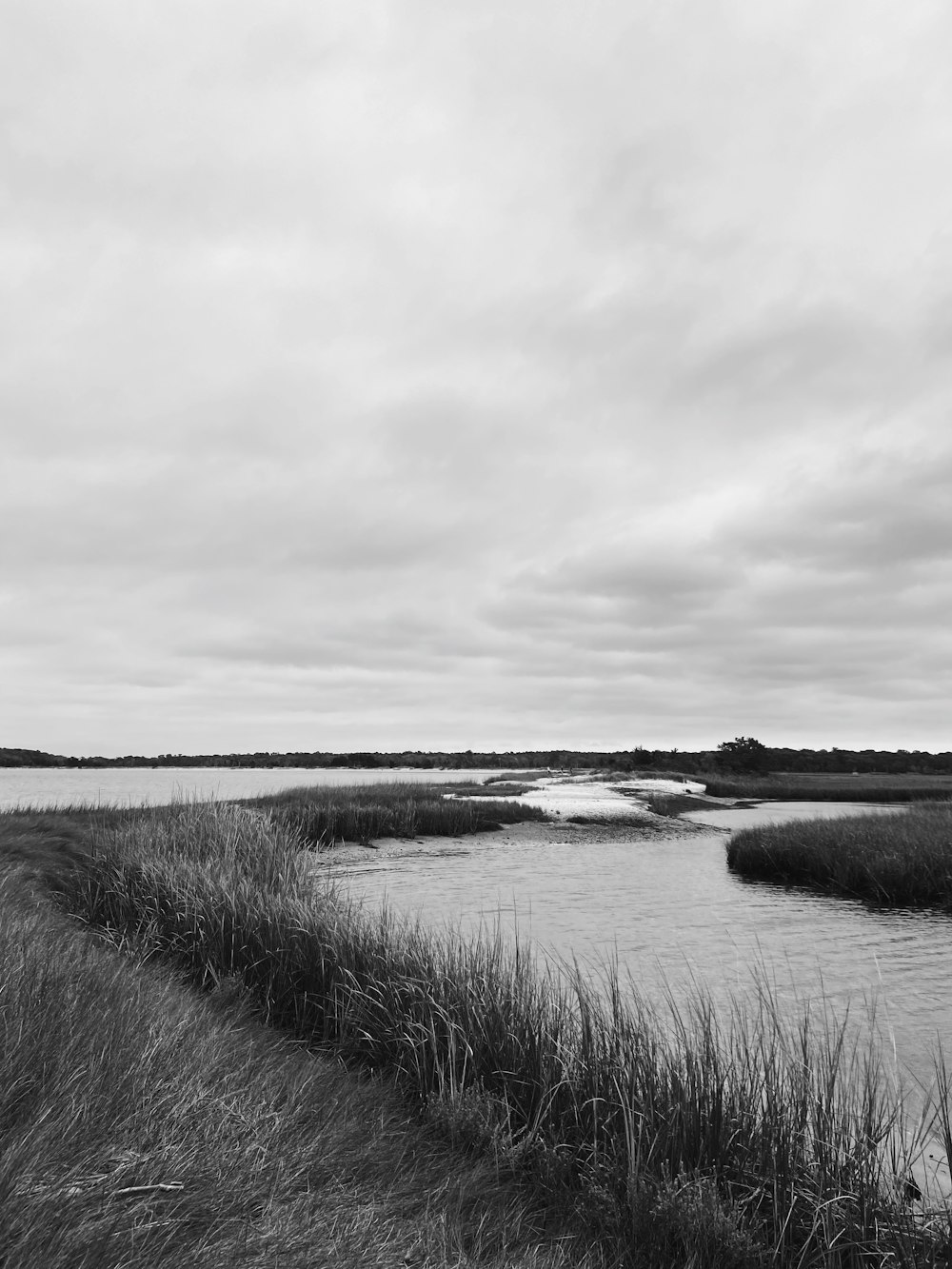 grayscale photo of body of water near grass field