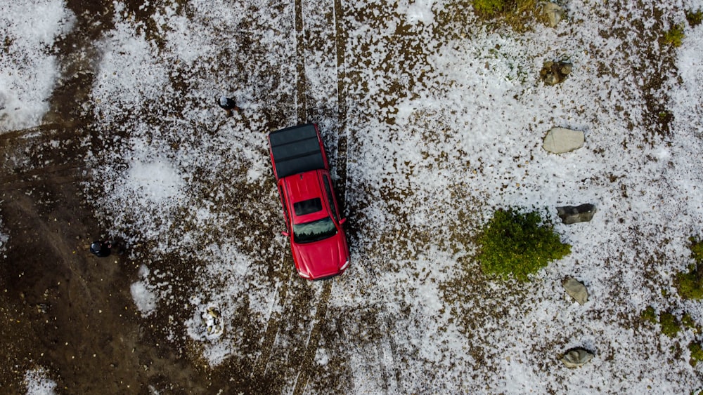 red car on road during daytime