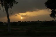 Sunset casting golden light over a sprawling CBD plantation