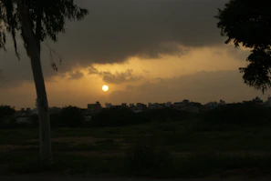 Sunset view over Oak City's skyline with warm golden light reflecting off the buildings.