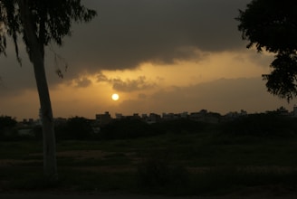Sunset casting golden light over a sprawling CBD plantation