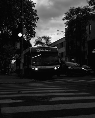 A black and white image of a bus on route 55 Saint-Laurent in a city setting. The bus is positioned near a pedestrian crossing and surrounded by buildings and trees. Streetlights and car headlights are visible, with a gloomy, overcast sky in the background.