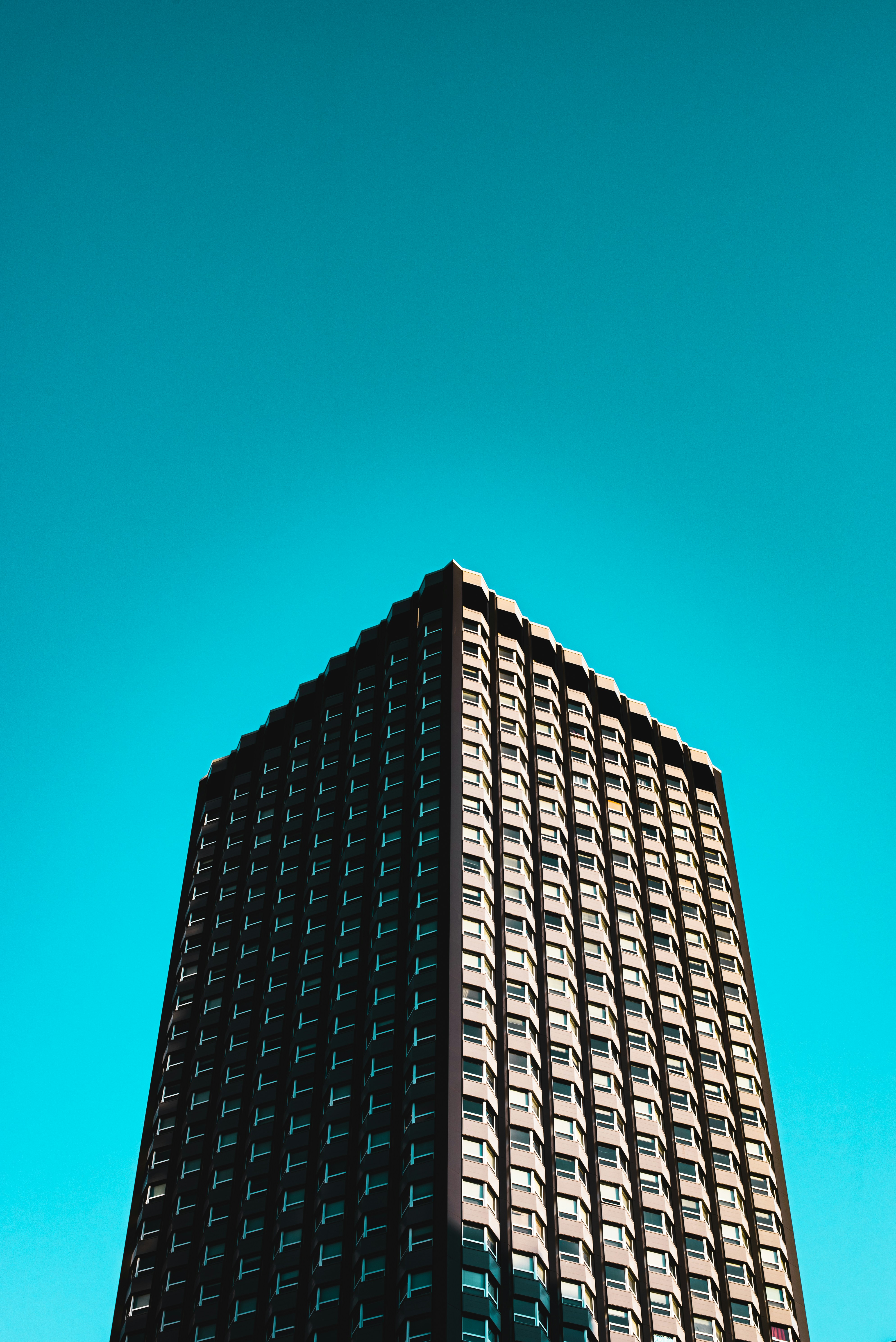 Photo by ryunosuke_kikuno