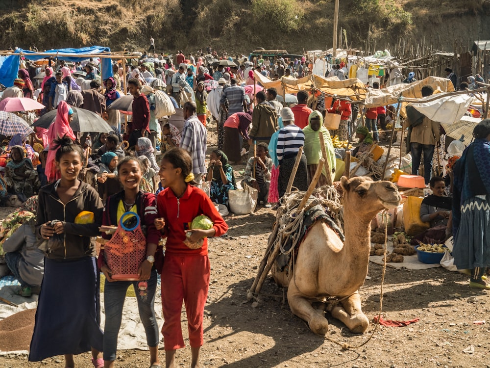um grupo de pessoas de pé ao lado de um camelo