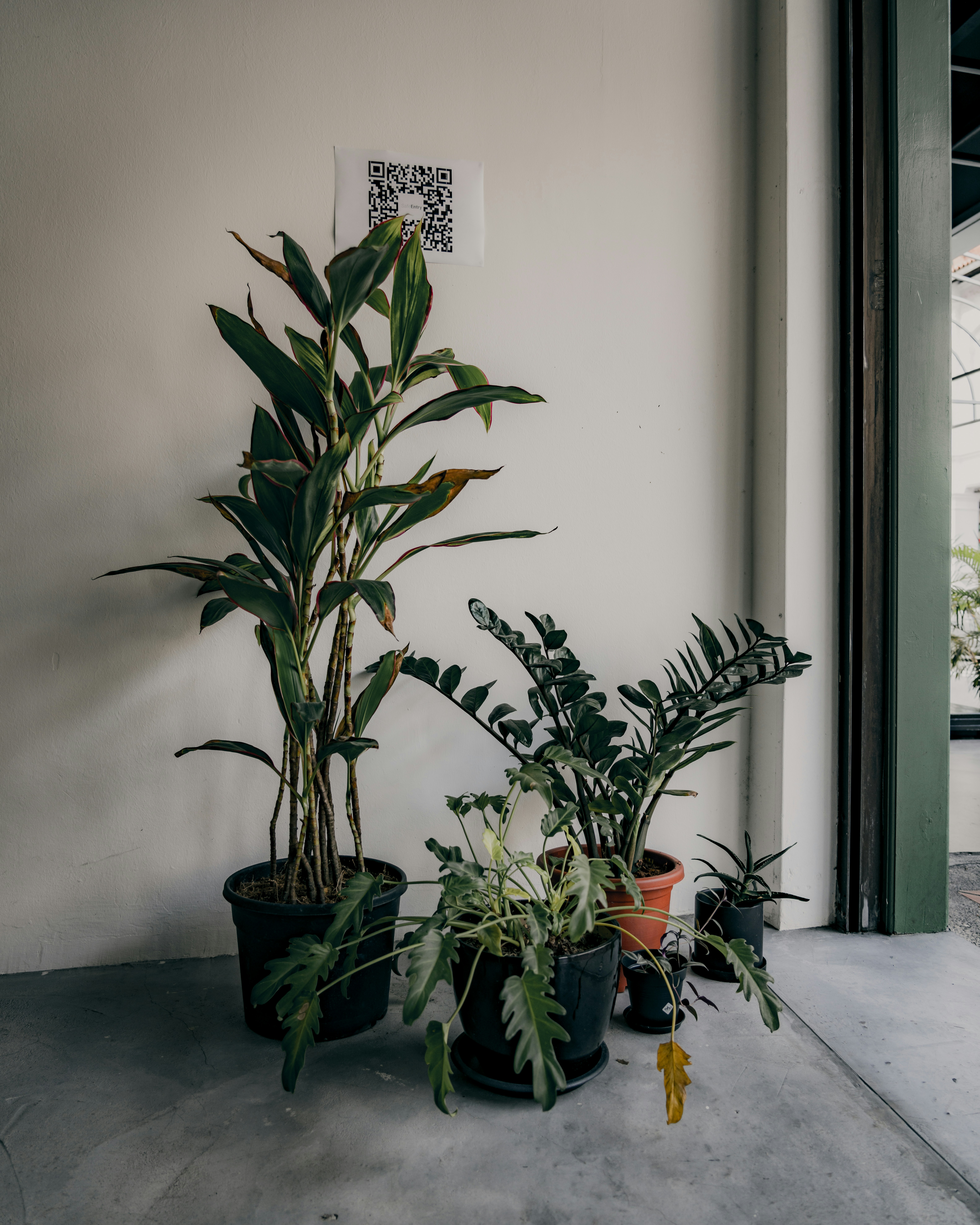 Photo by theisaacmatthew