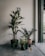 A group of potted plants is arranged against a plain wall indoors. The plants vary in size and type, with lush green leaves and distinct forms. A QR code is affixed to the wall above the plants. Natural light filters in from the right, suggesting a nearby window.
