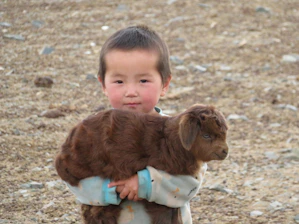 Close-up of a smiling child petting a fluffy miniature goat in a sunny outdoor event.