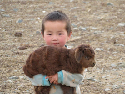 Close-up of a smiling child petting a fluffy miniature goat in a sunny outdoor event.