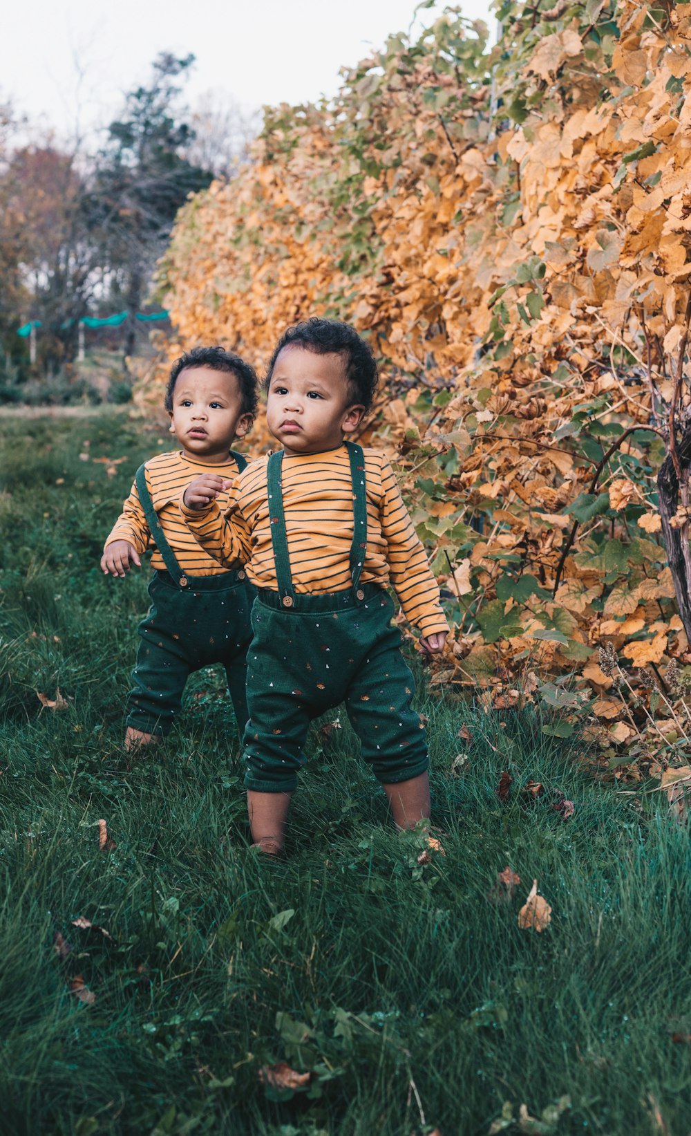 boy in yellow and black striped long sleeve shirt and green pants standing on green grass