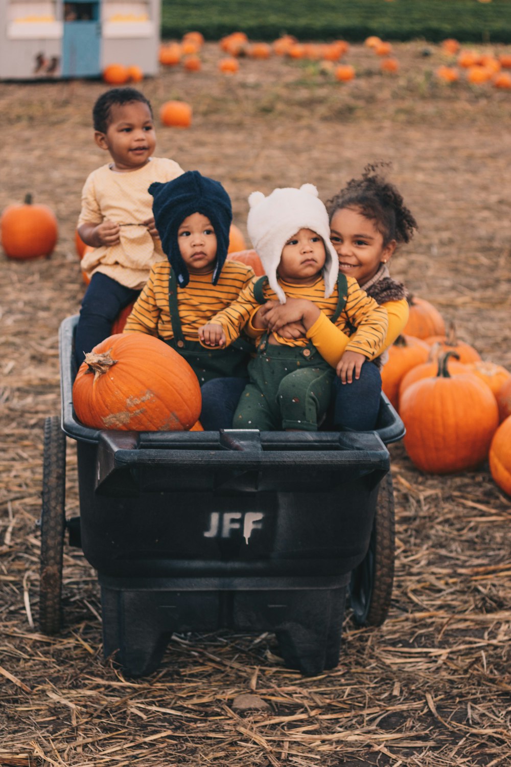 woman in black and white striped long sleeve shirt sitting on black plastic container with pumpkins