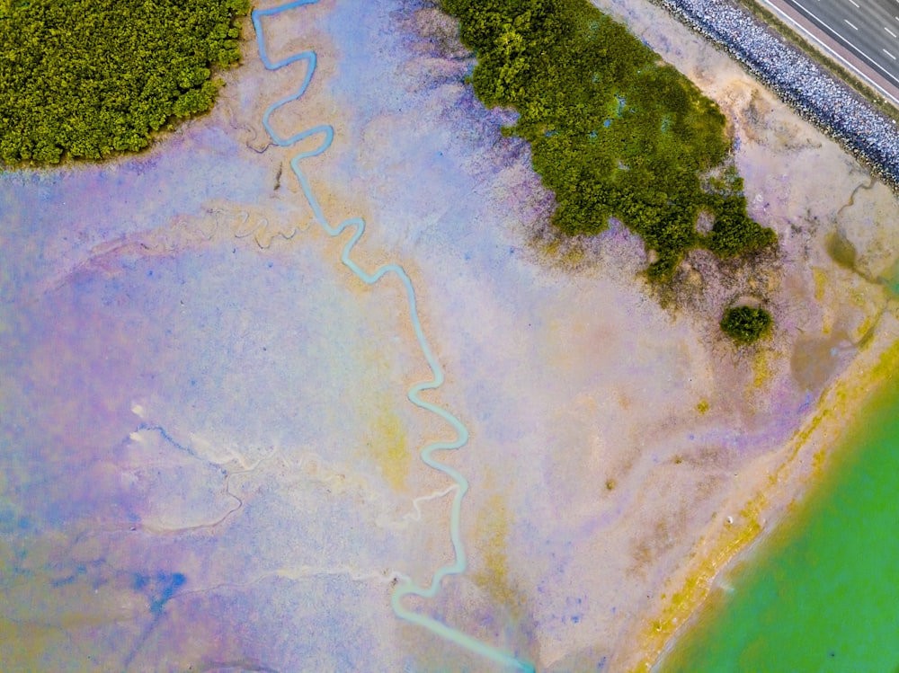 aerial view of green trees and brown sand