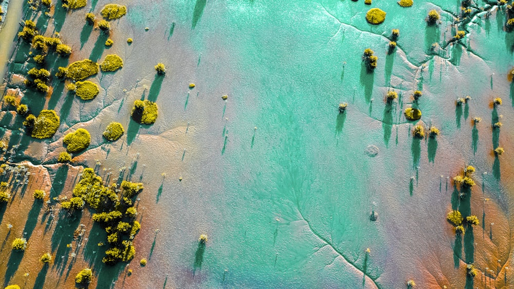aerial view of people on body of water during daytime