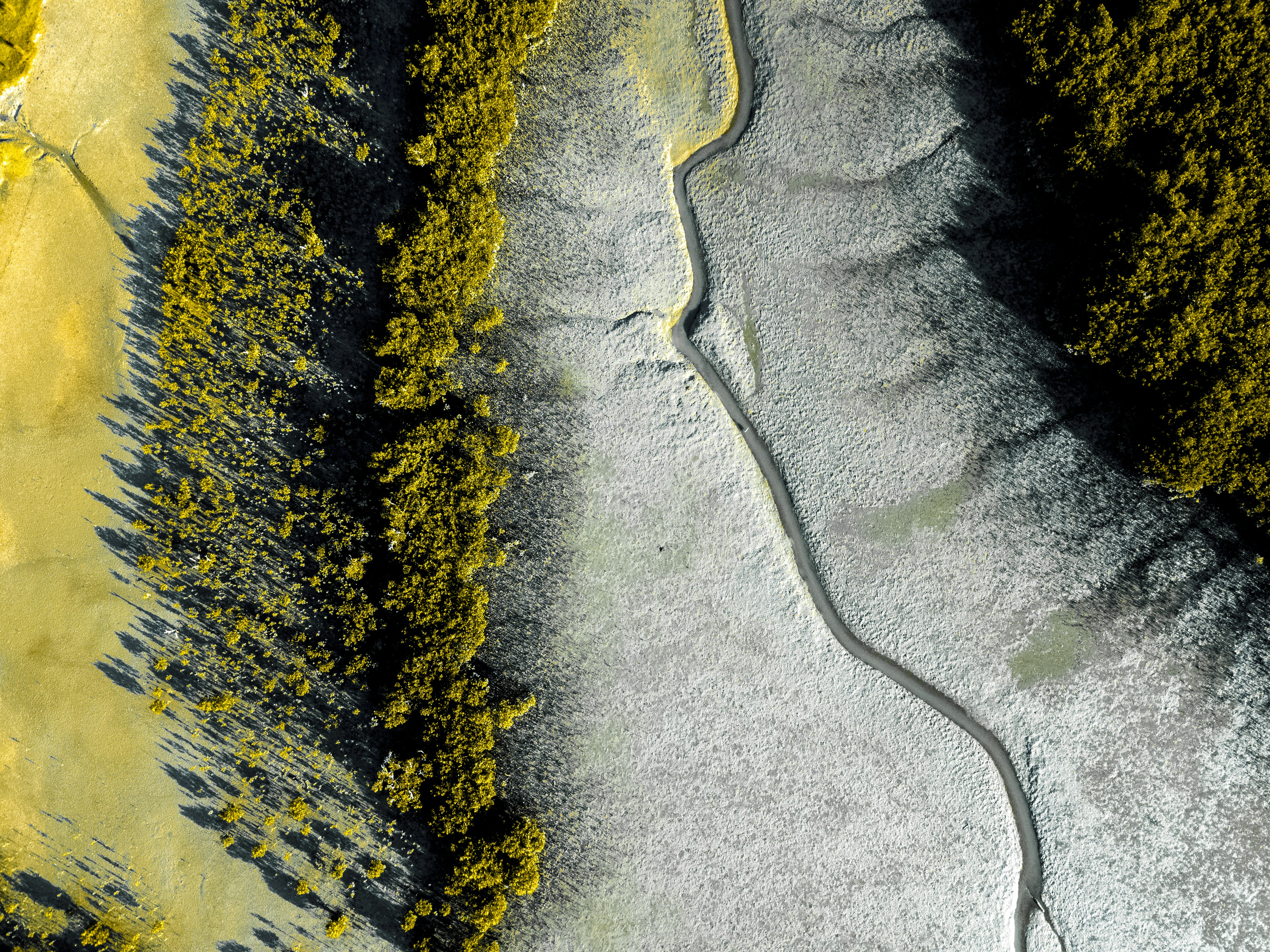 aerial view of green trees on snow covered ground