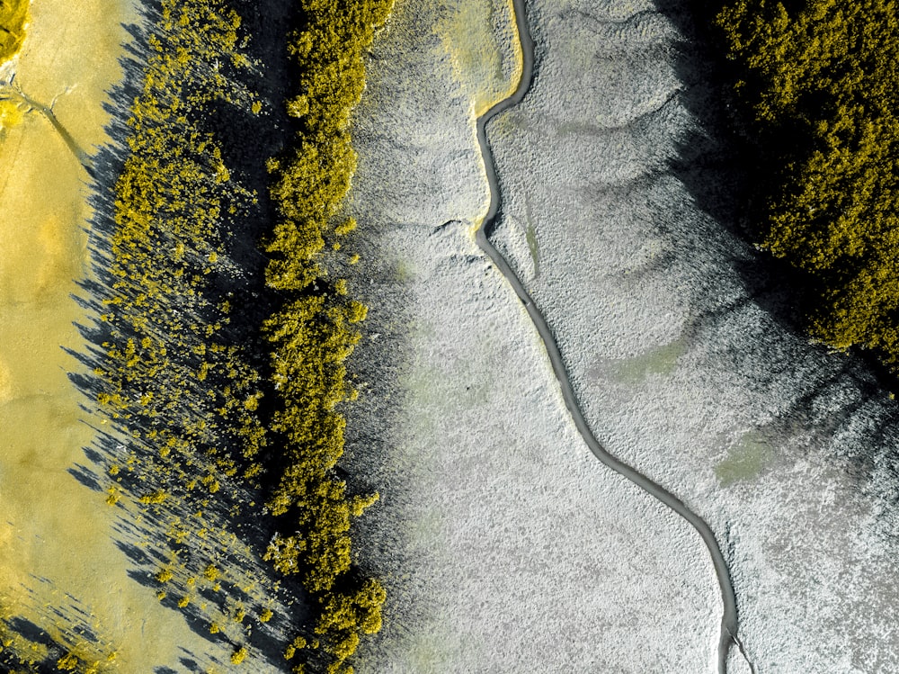 aerial view of green trees on snow covered ground